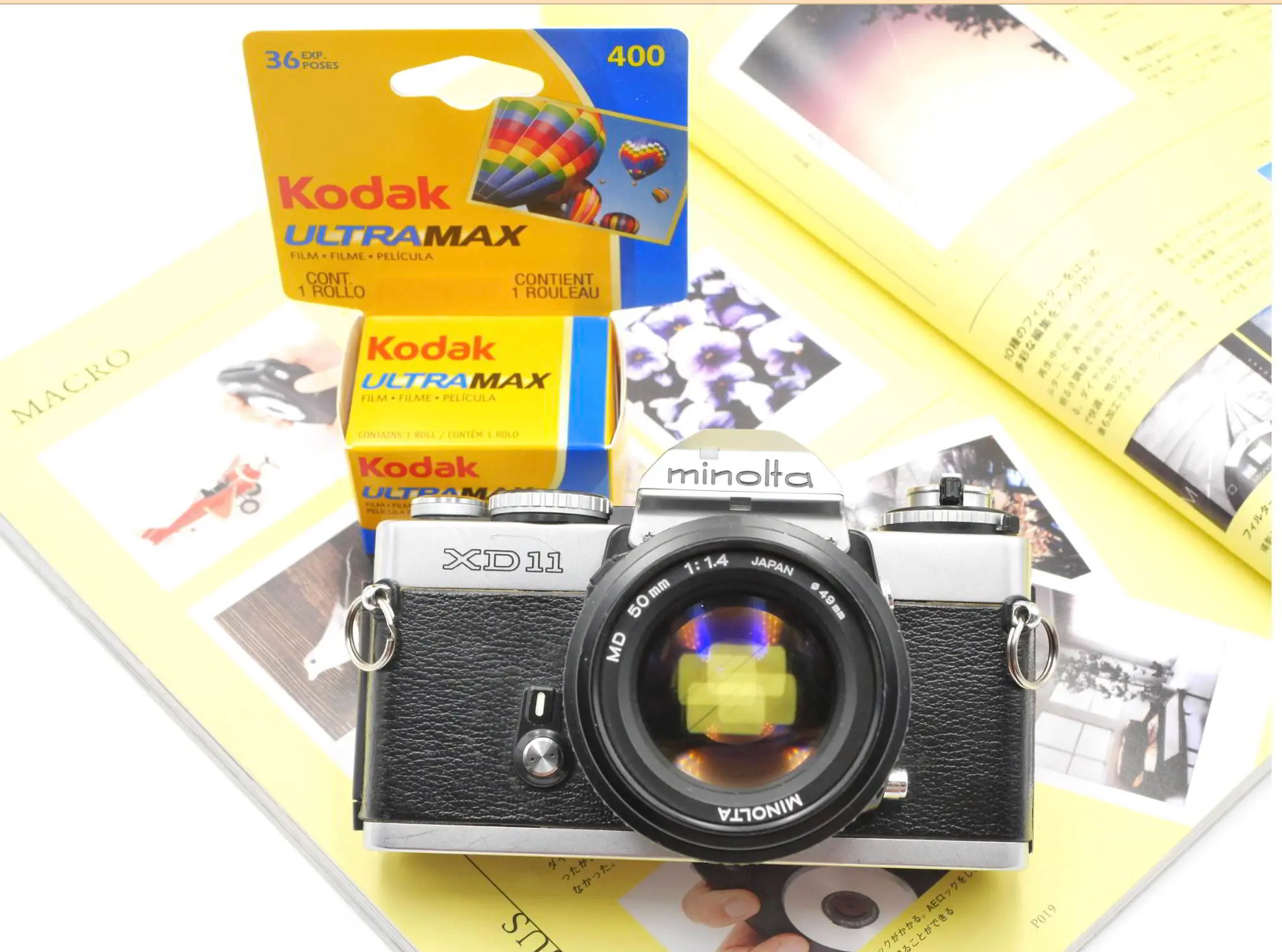 Photograph — My Photo Memoir