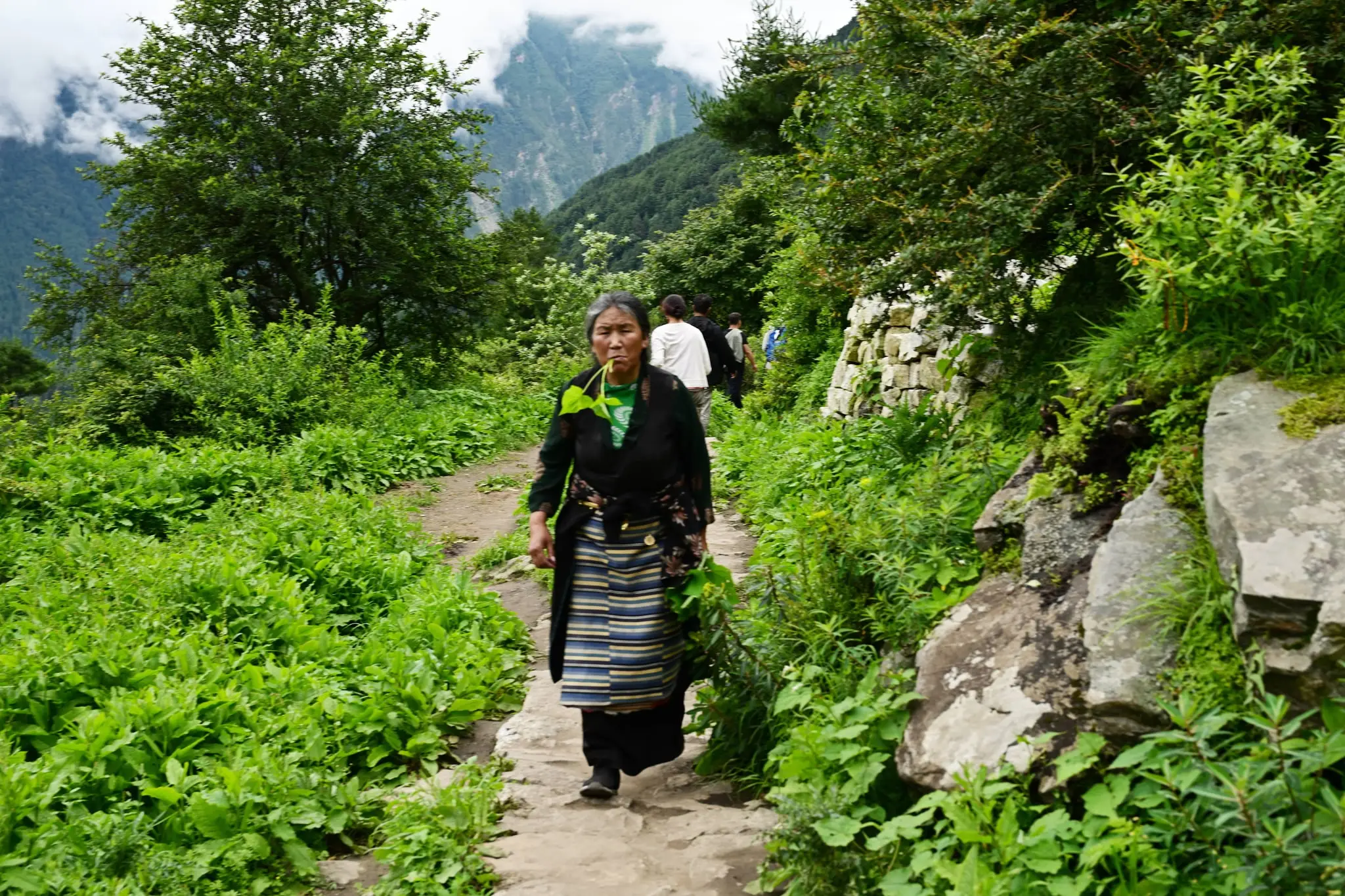 Gyirong