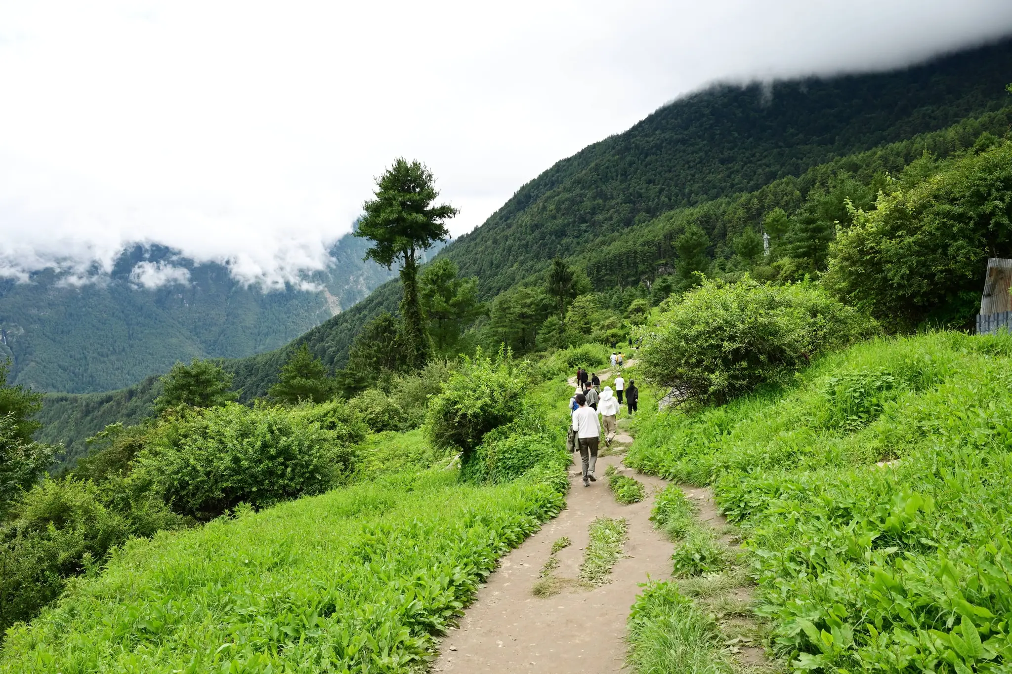 The Journey in Tibet