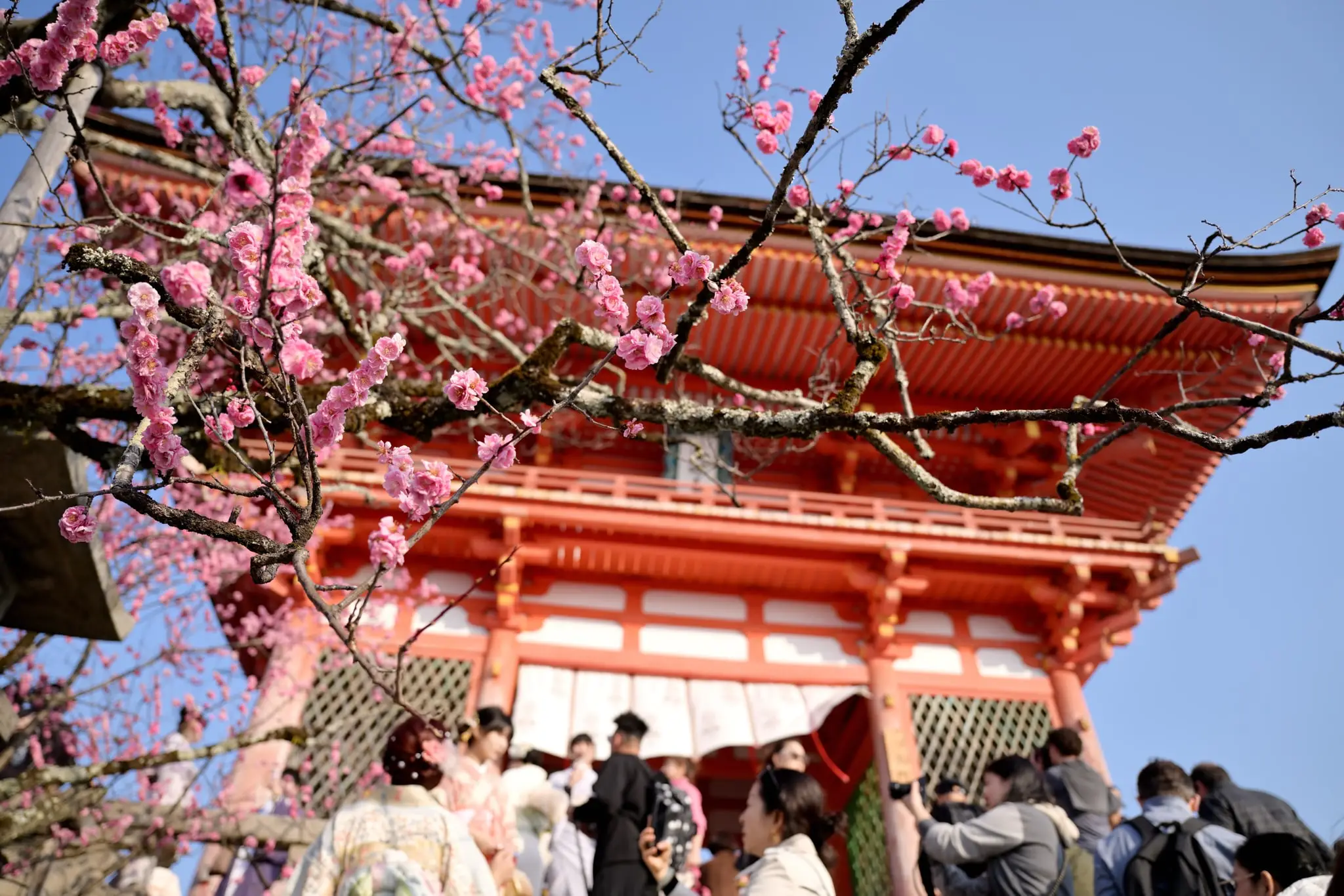 Japan · Kyoto — My Photo Memoir