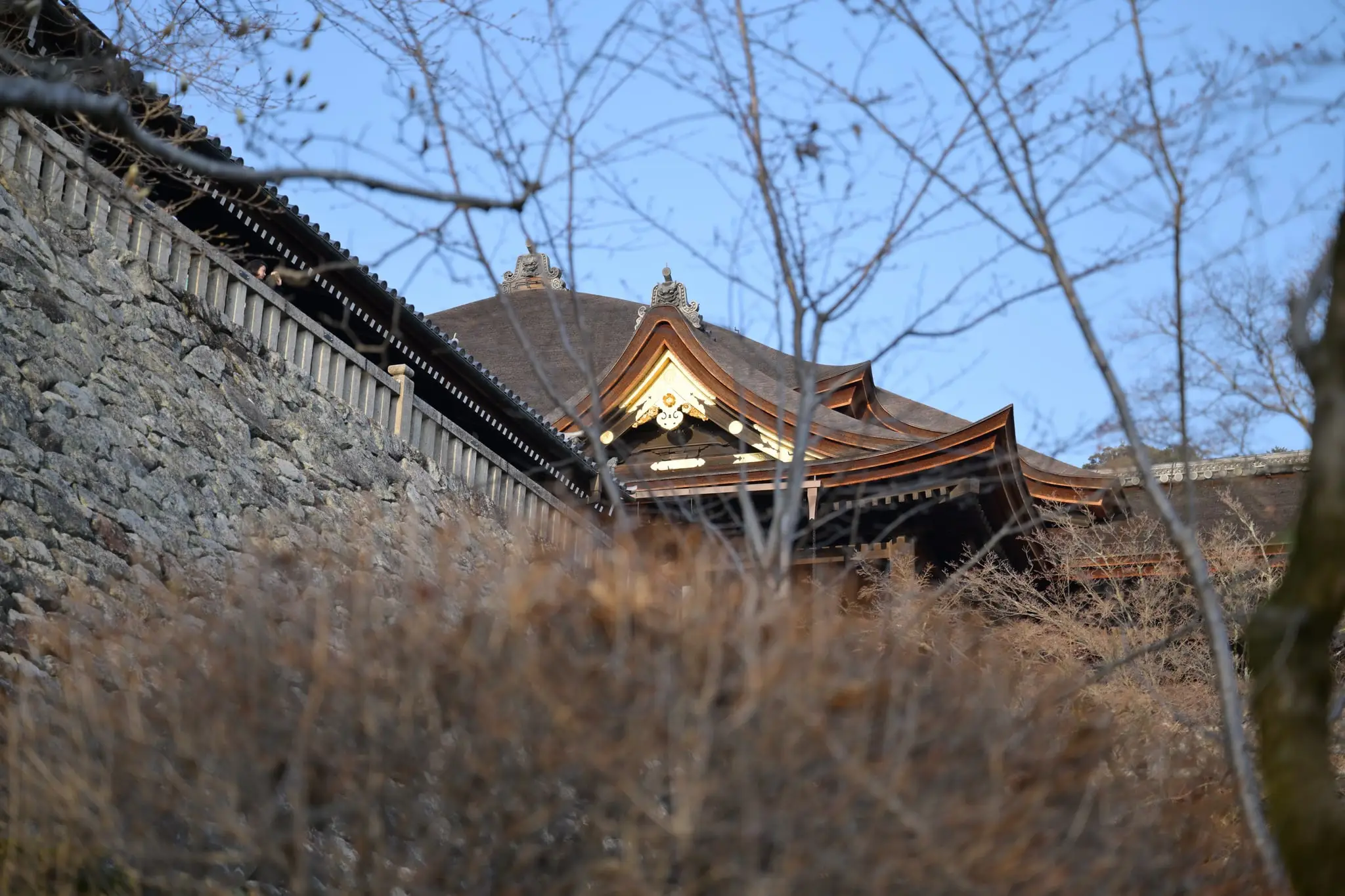 Japan · Kyoto — My Photo Memoir