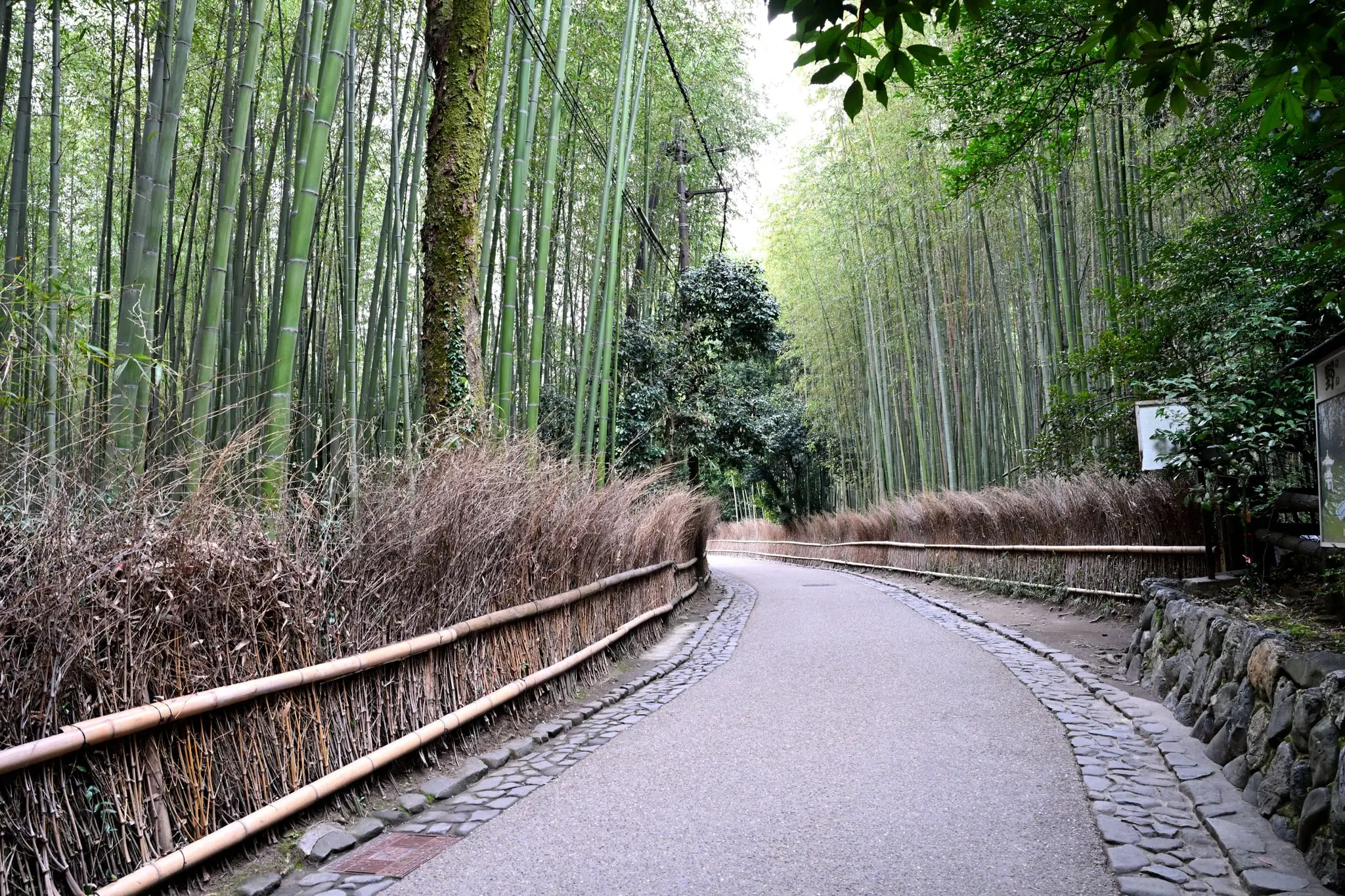 Japan · Kyoto — My Photo Memoir