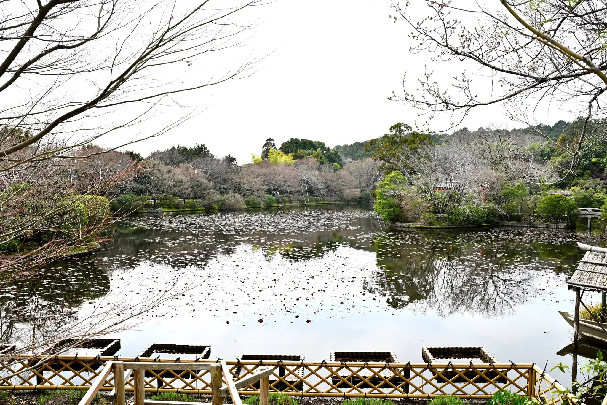 Japan · Kyoto — My Photo Memoir