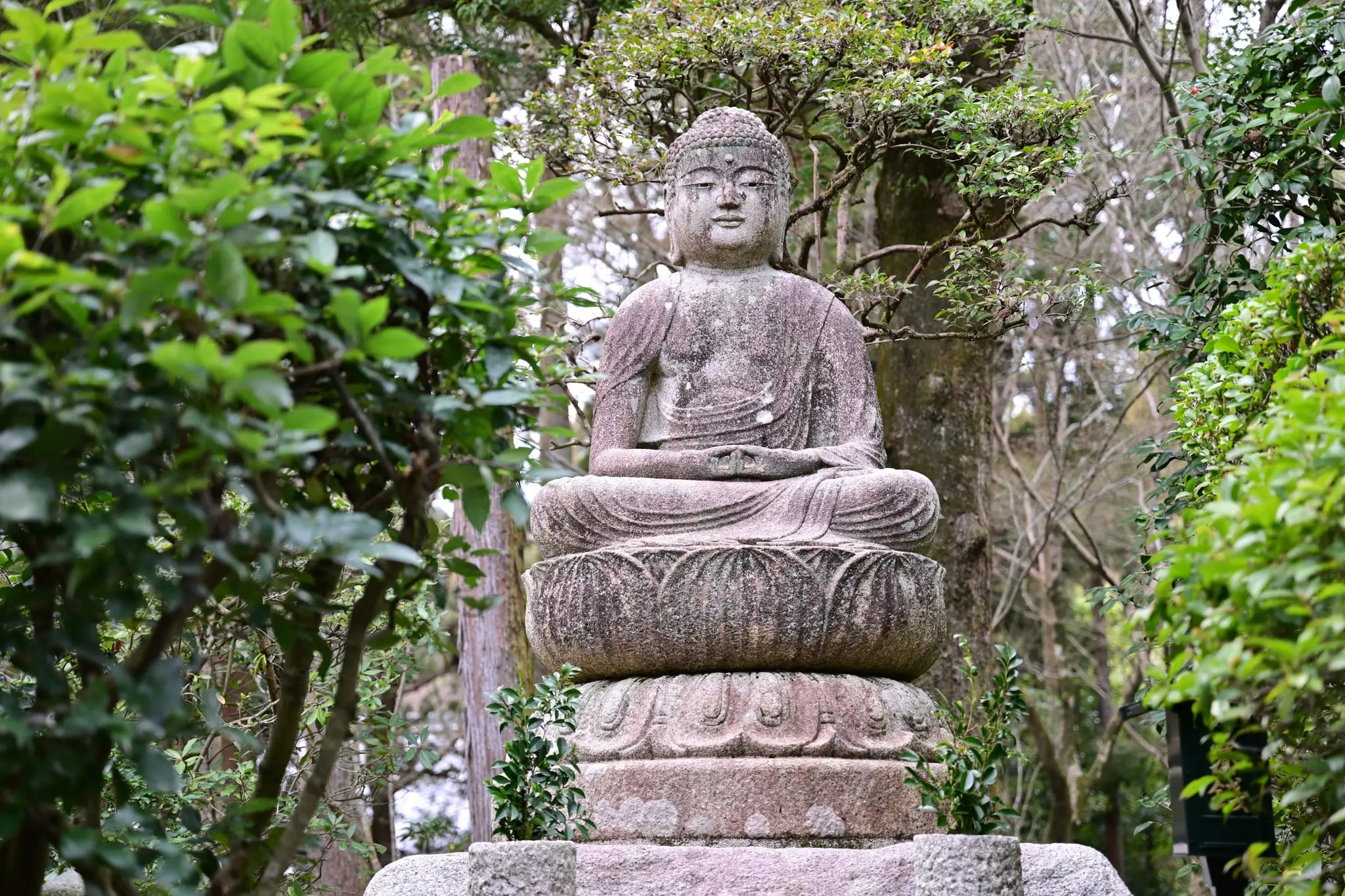Japan · Kyoto — My Photo Memoir