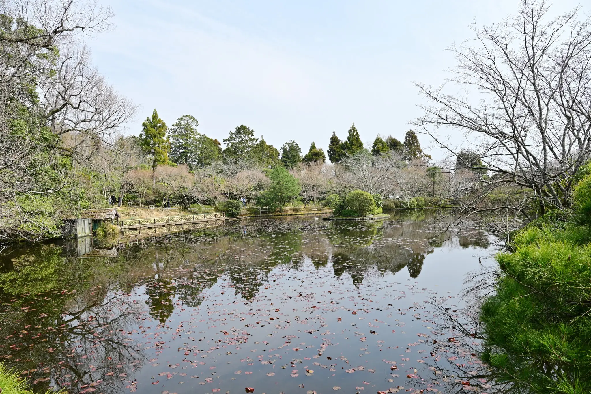Japan · Kyoto — My Photo Memoir