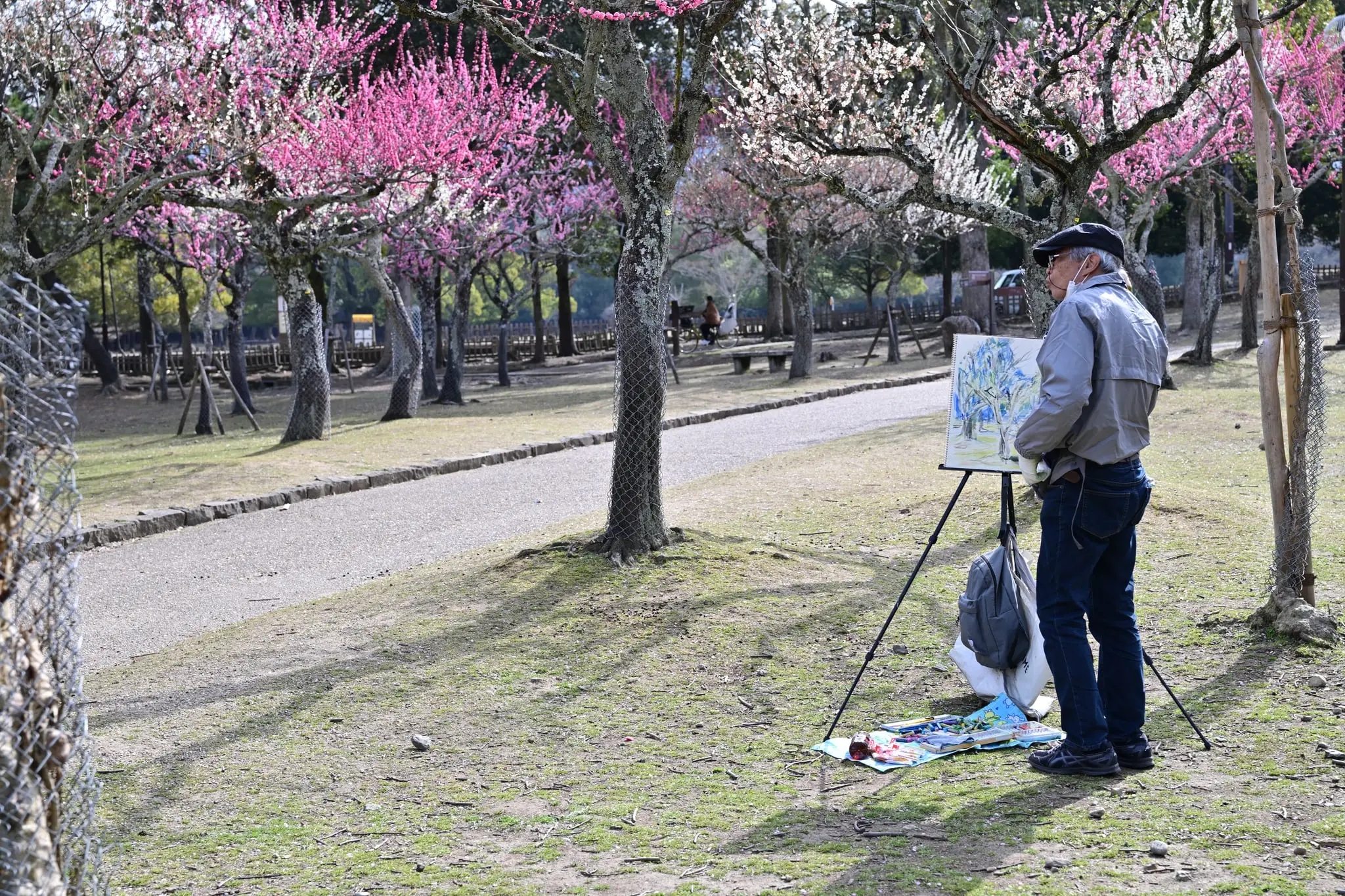 Japan · Kyoto — My Photo Memoir