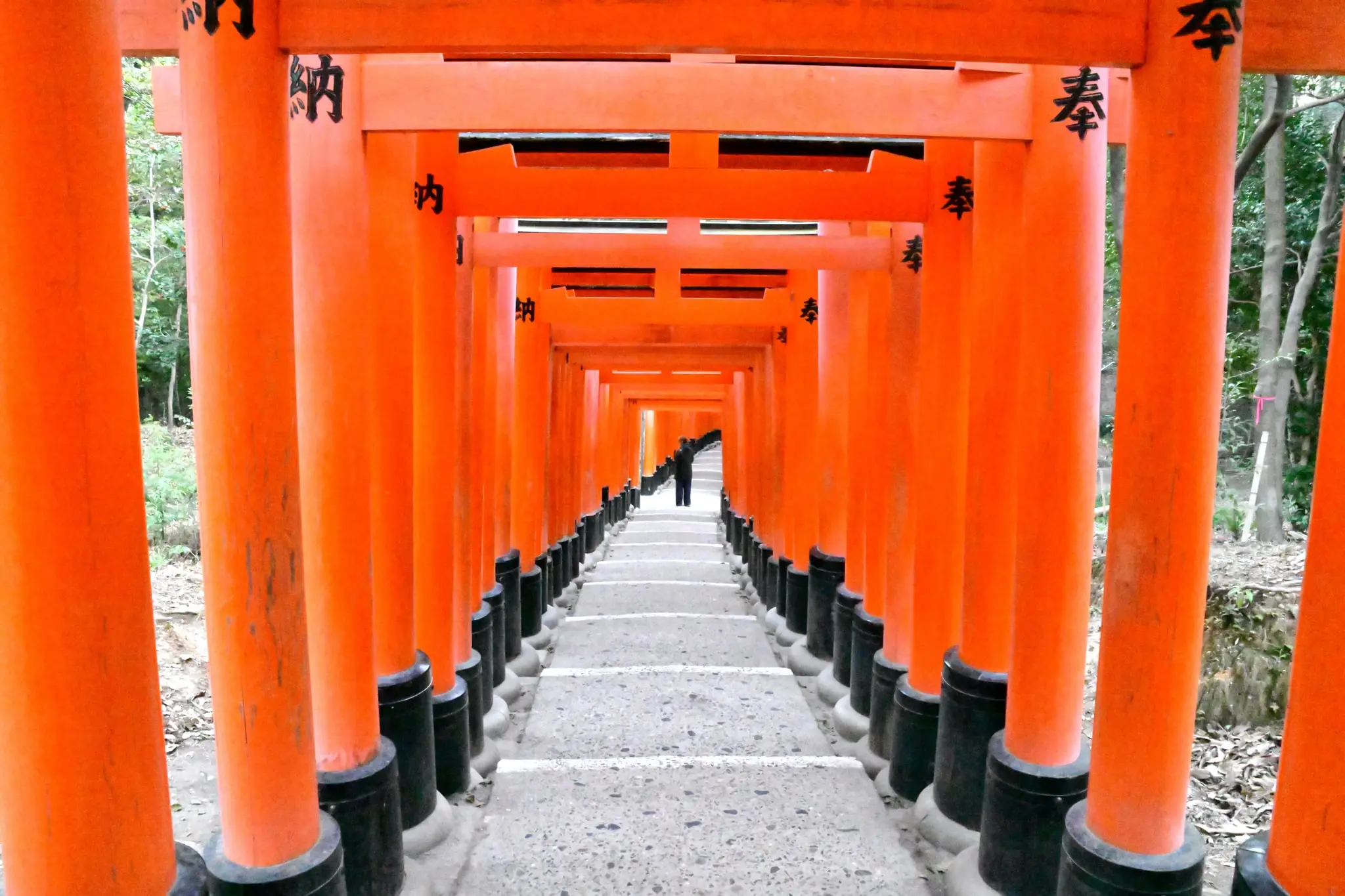 Japan · Kyoto — My Photo Memoir