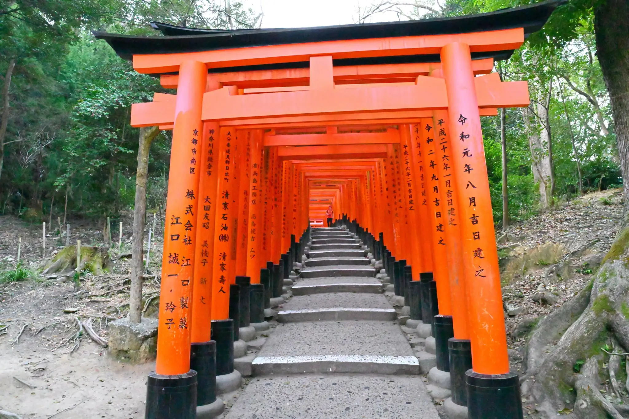 Japan · Kyoto — My Photo Memoir