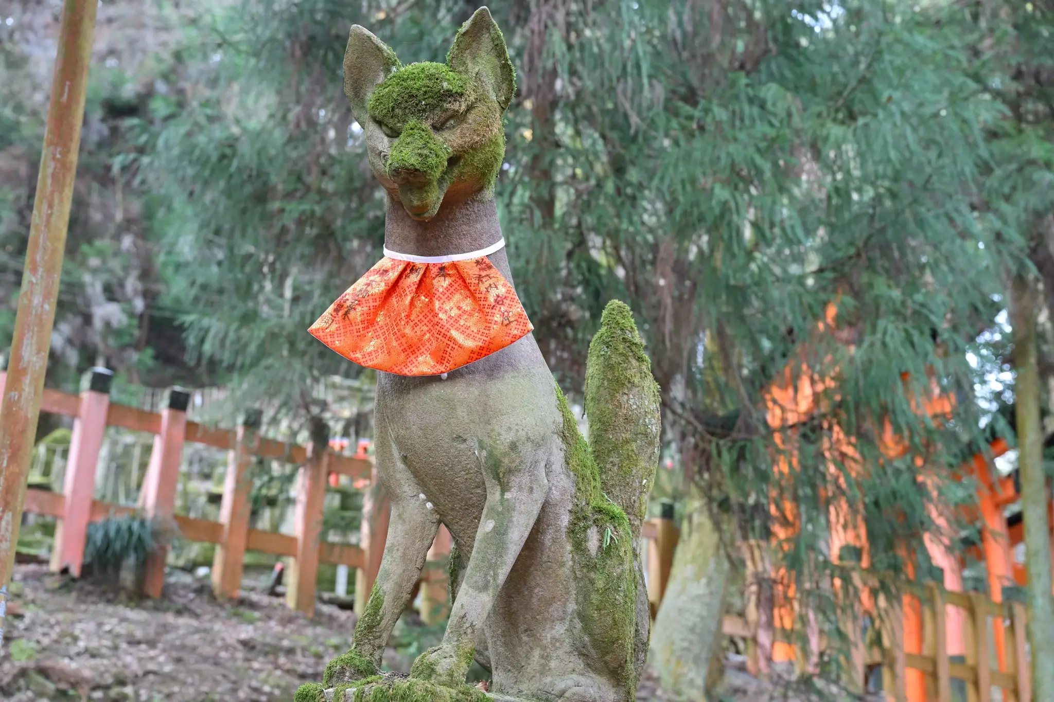 Japan · Kyoto — My Photo Memoir