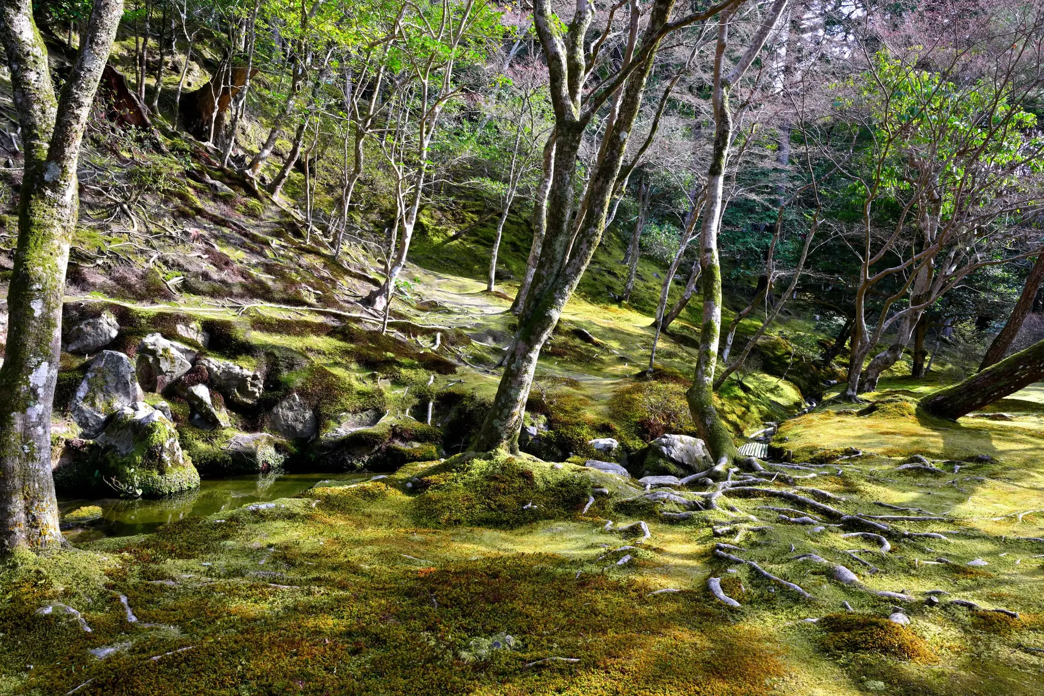 Japan · Kyoto — My Photo Memoir