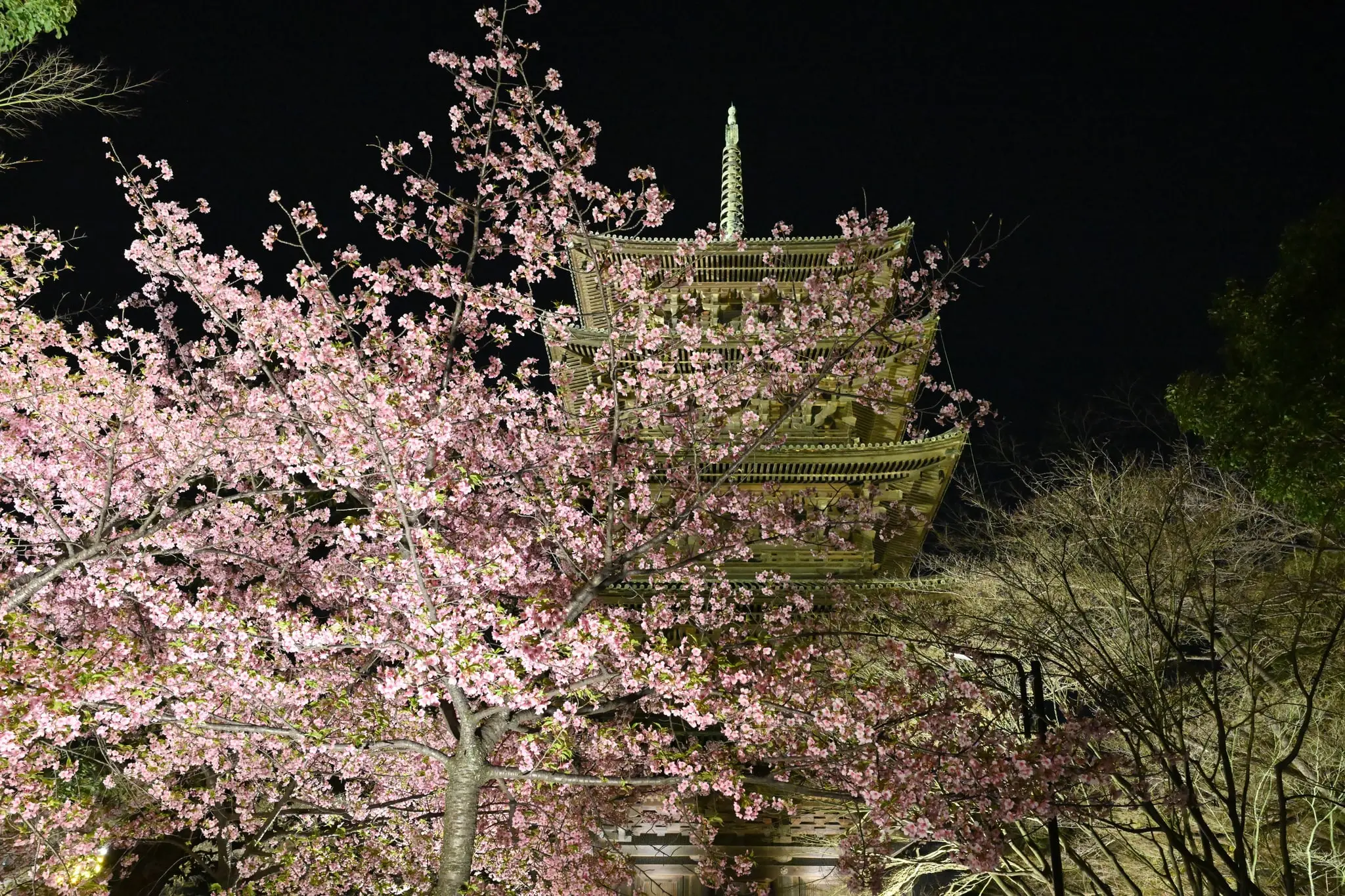 Japan · Kyoto — My Photo Memoir