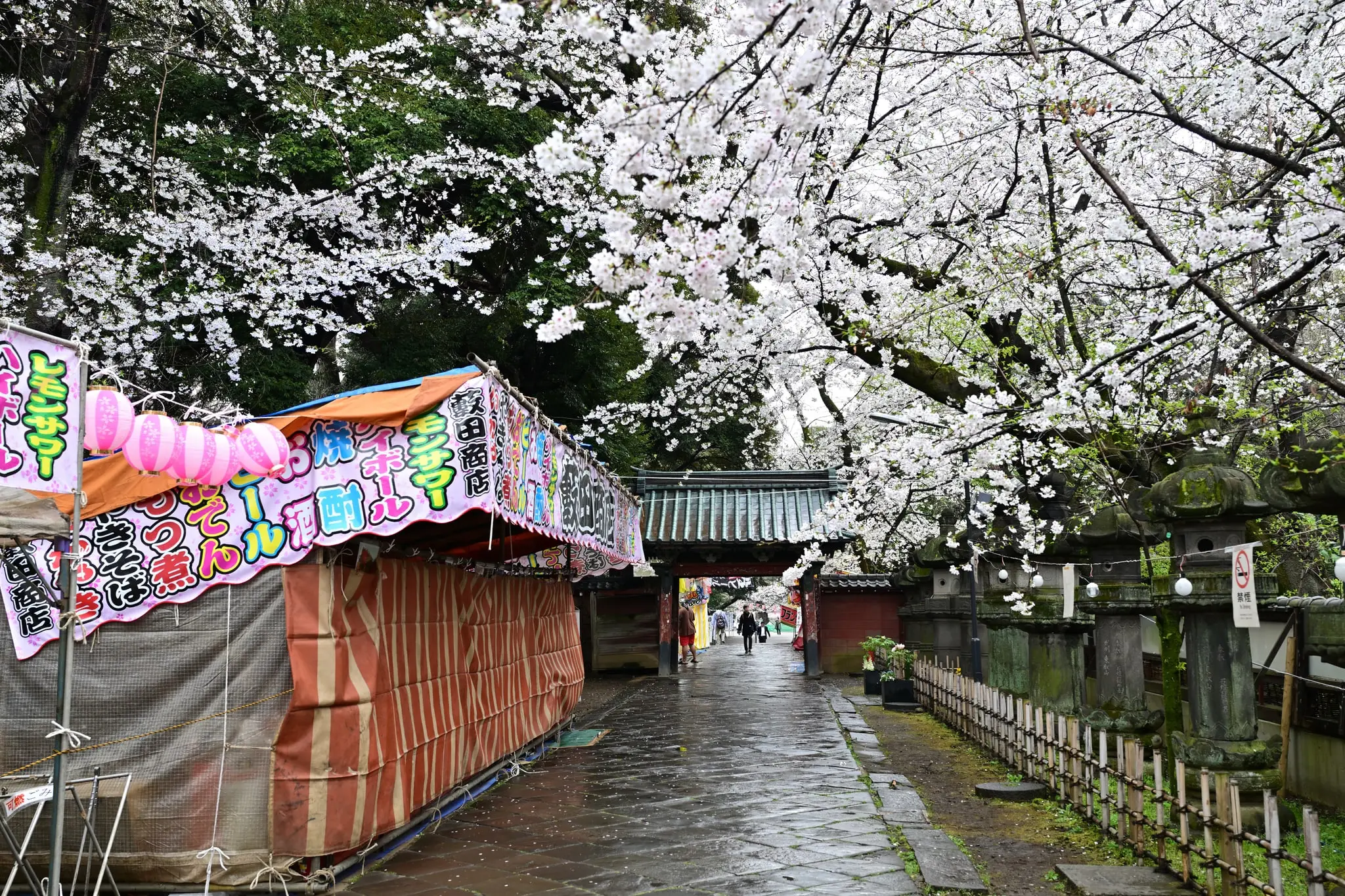 Japan · Kyoto — My Photo Memoir