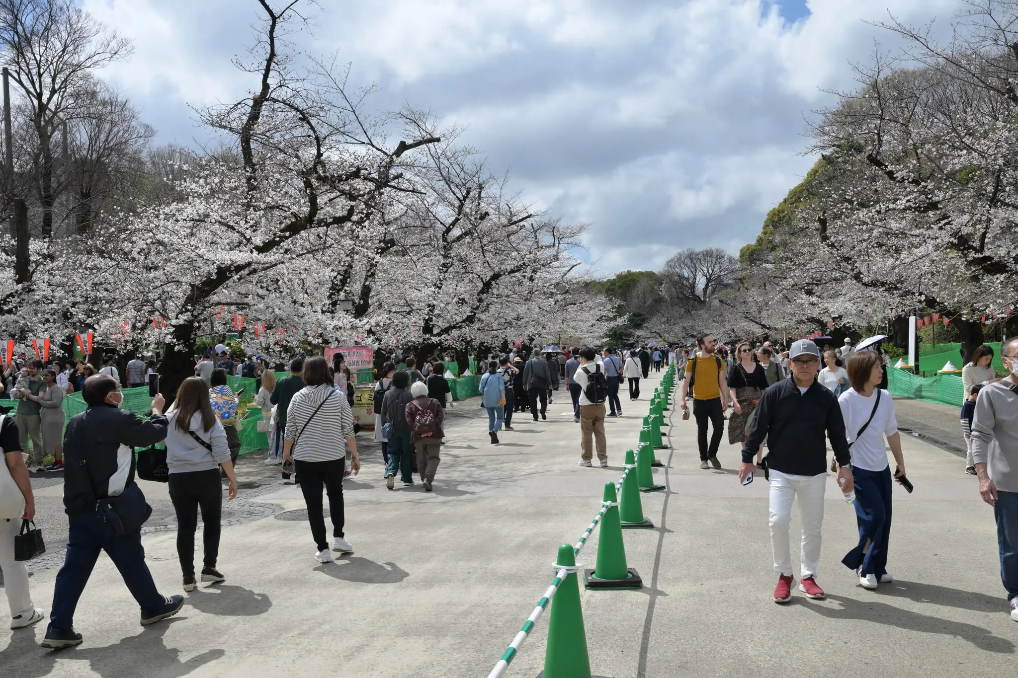 Japan · Kyoto — My Photo Memoir